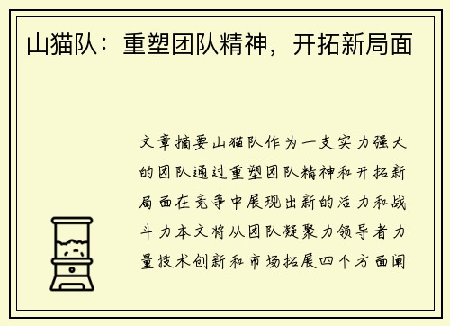 山猫队：重塑团队精神，开拓新局面